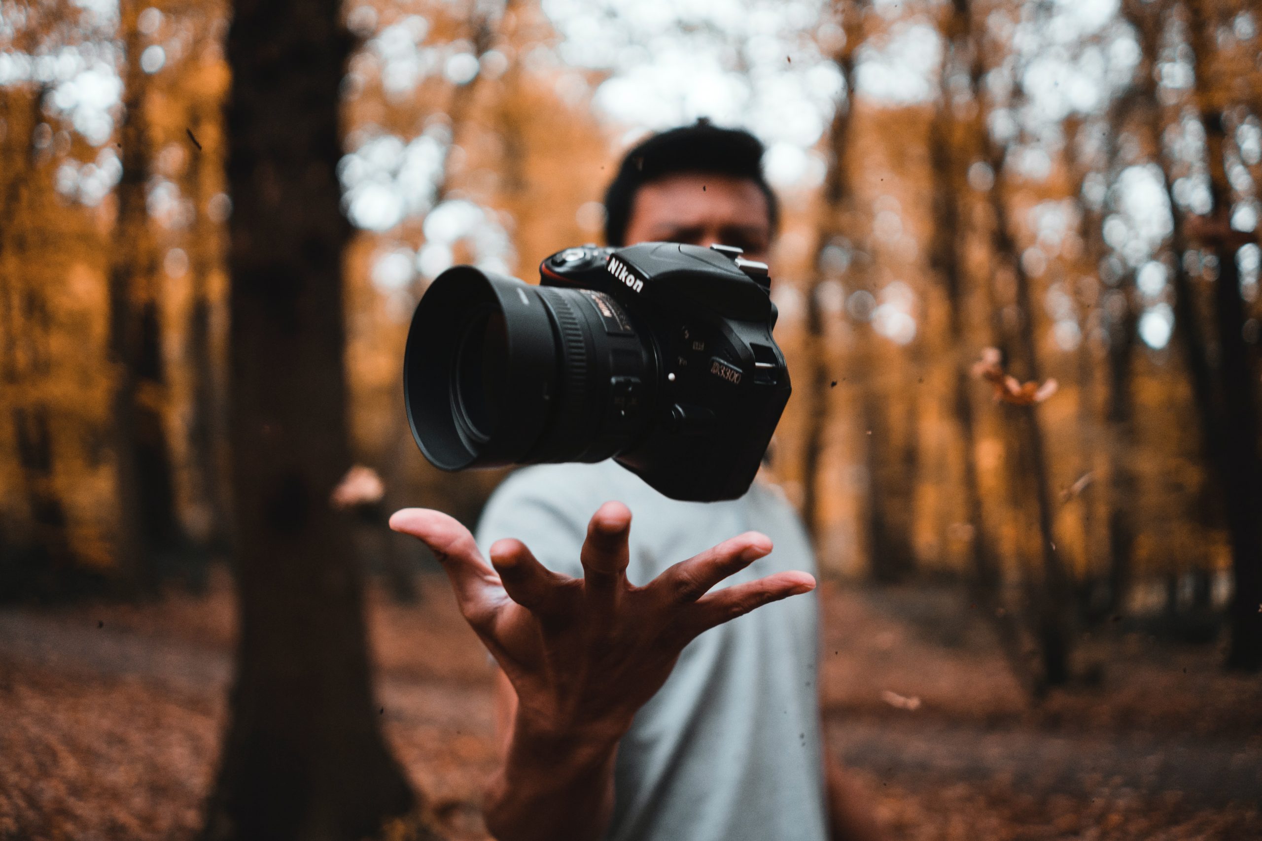 photography in woods