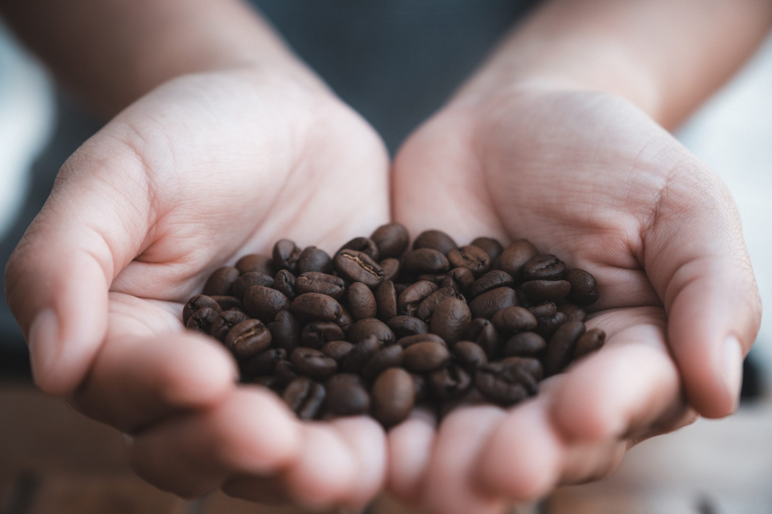 closeup image of a womans hands holding and showin 8DBJ438